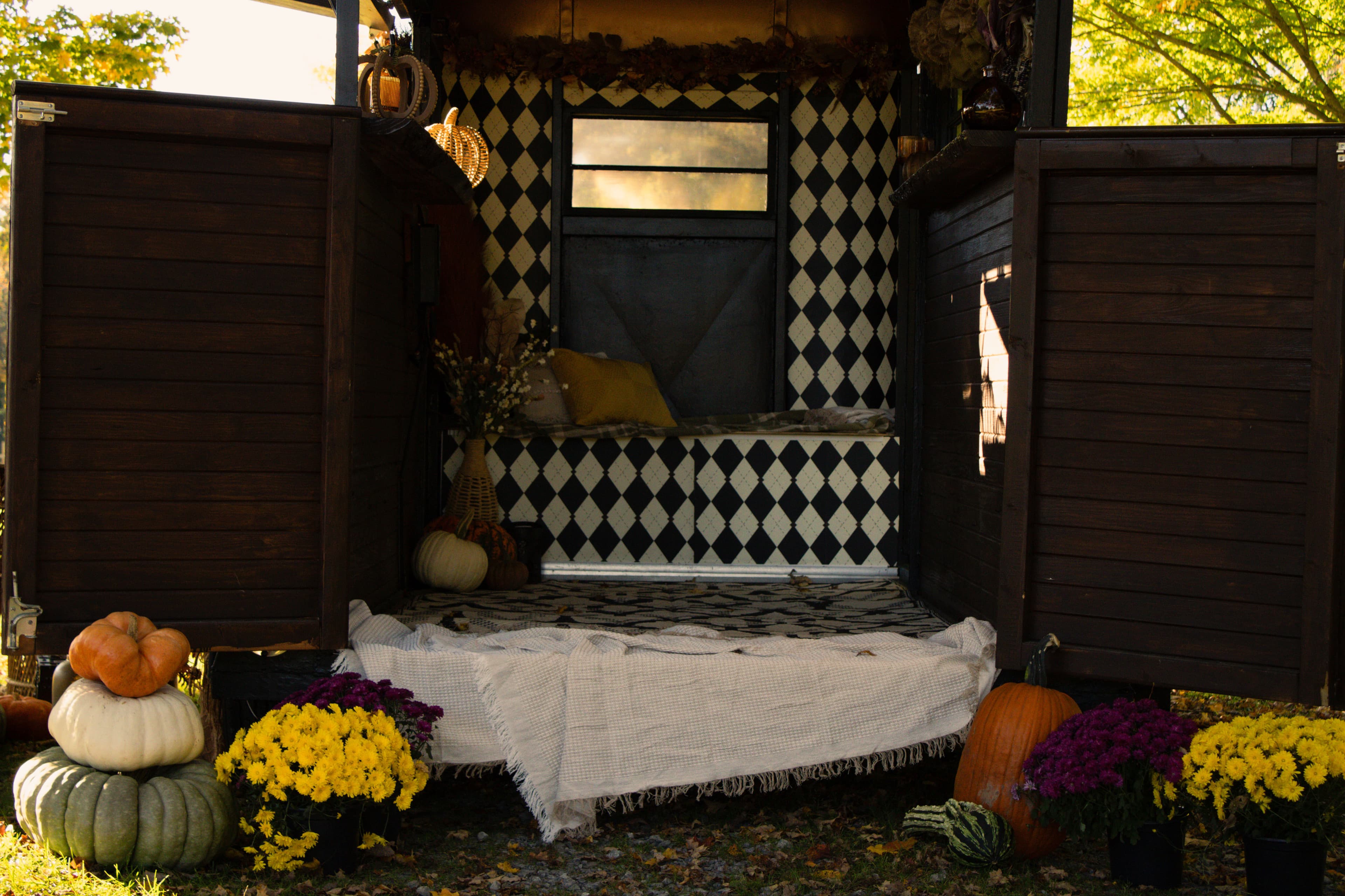 Detail of the harlequin interior with pumpkins and mums